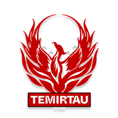 Temirtau Suns logo