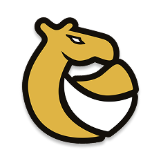 Turkestan Camels logo